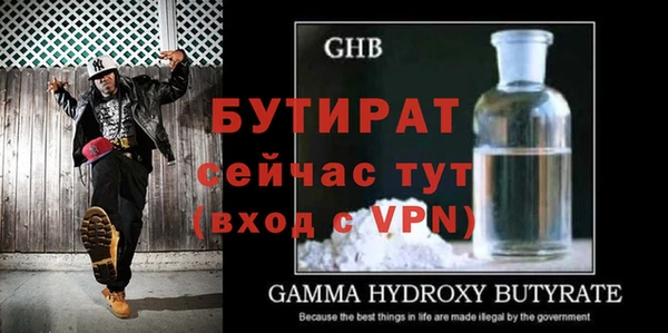 сатива Сатка