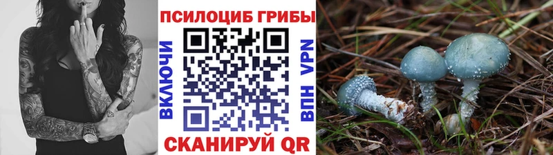 закладки  Алексин  Галлюциногенные грибы Magic Shrooms 