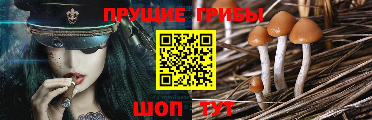 Галлюциногенные грибы мухоморы  Вход с VPN  Алексин 