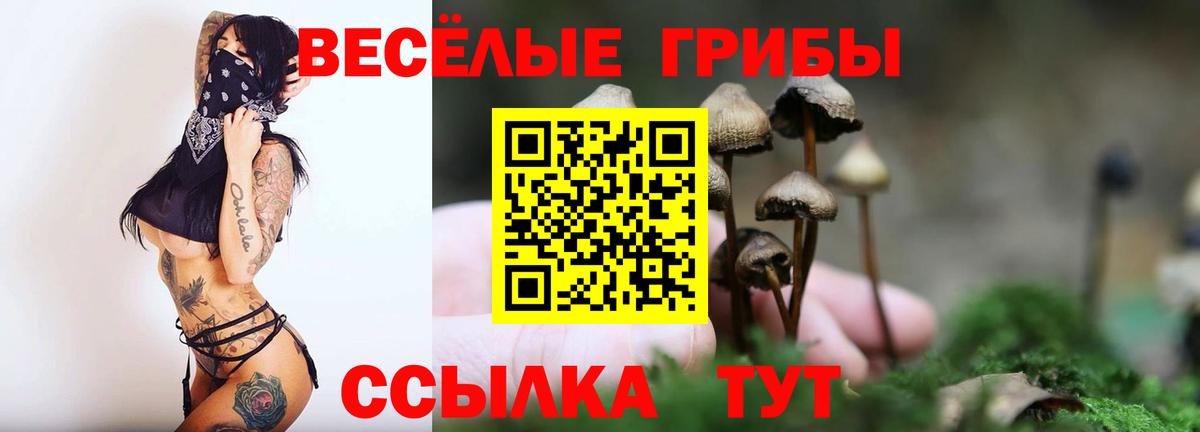 Псилоцибиновые грибы MAGIC MUSHROOMS Алексин