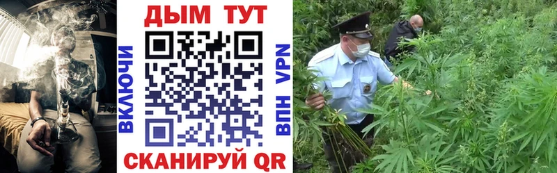 Конопля гибрид  Алексин 